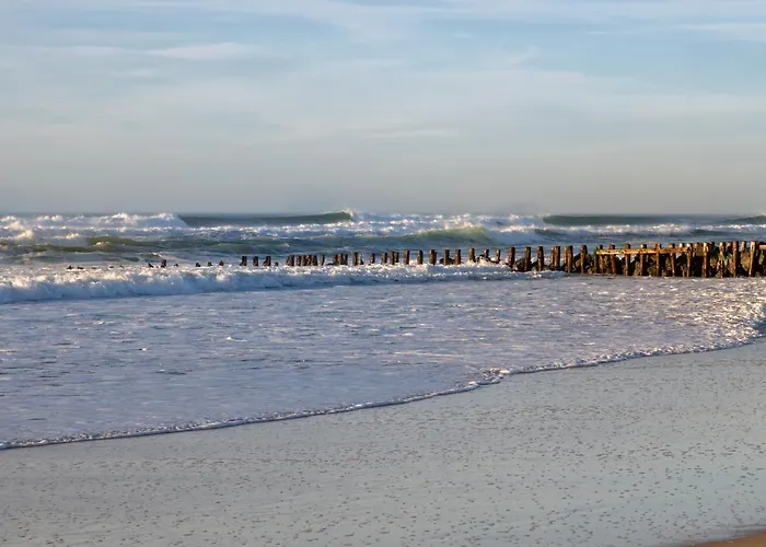 Piot T2 200m De La *