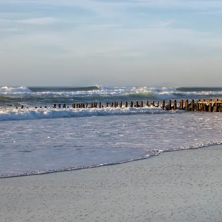 Piot T2 200m De La *