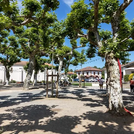 Apartment Piot T2 200m De La *